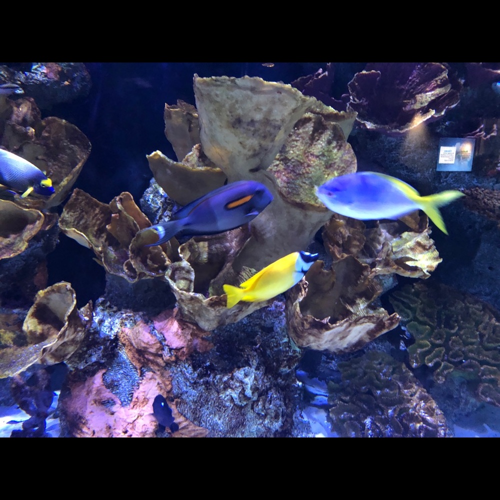 Meet your Posher, Christine